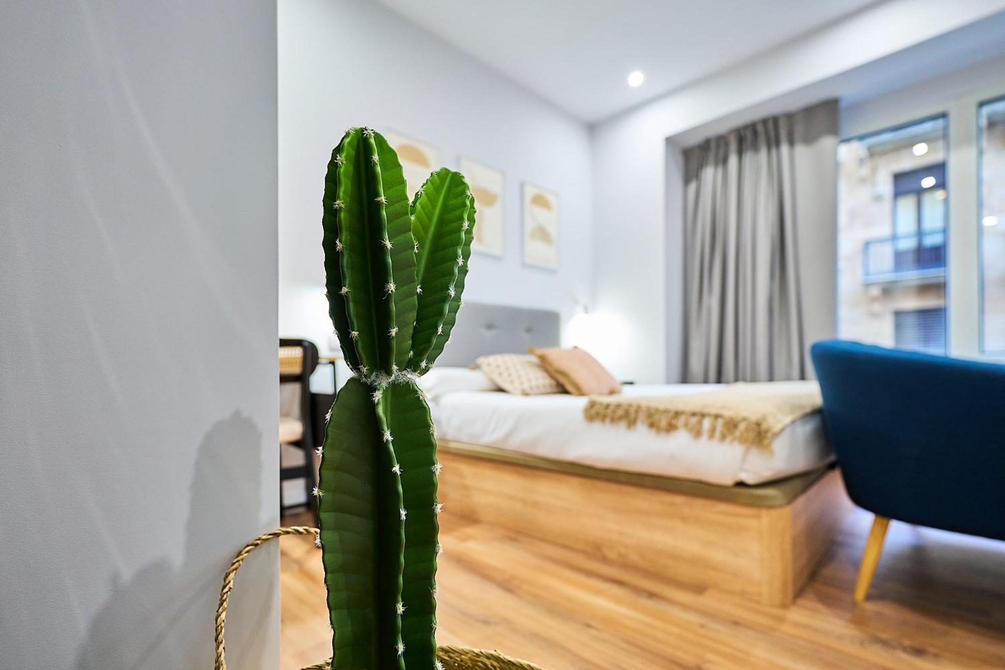 Apartamentos Esperanza By Gaiarooms 萨拉曼卡 外观 照片